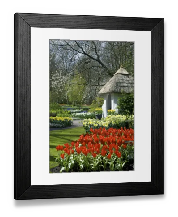 Framed Print : Netherlands, Holland, Lisse, Keukenhof Gardens