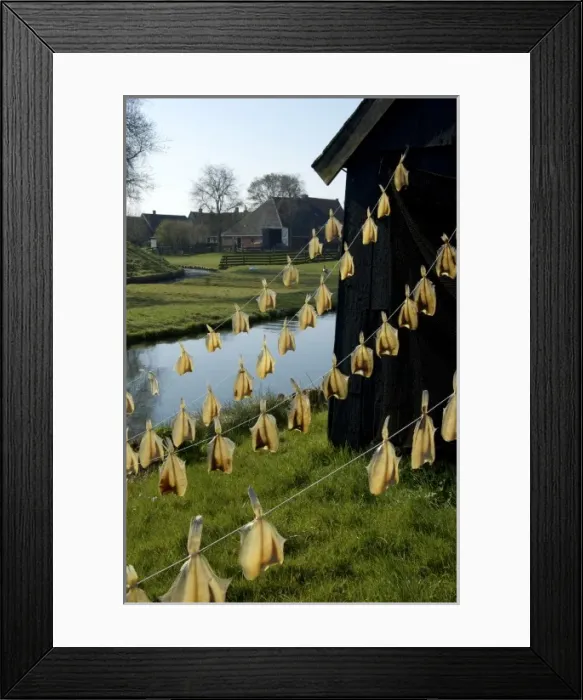 Framed Print : Europe, Netherlands, Holland Framed Print : Europe, Netherlands, Holland