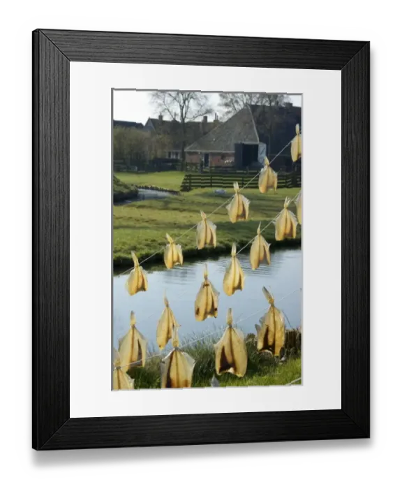 Framed Print : Europe, Netherlands, Holland Framed Print : Europe, Netherlands, Holland