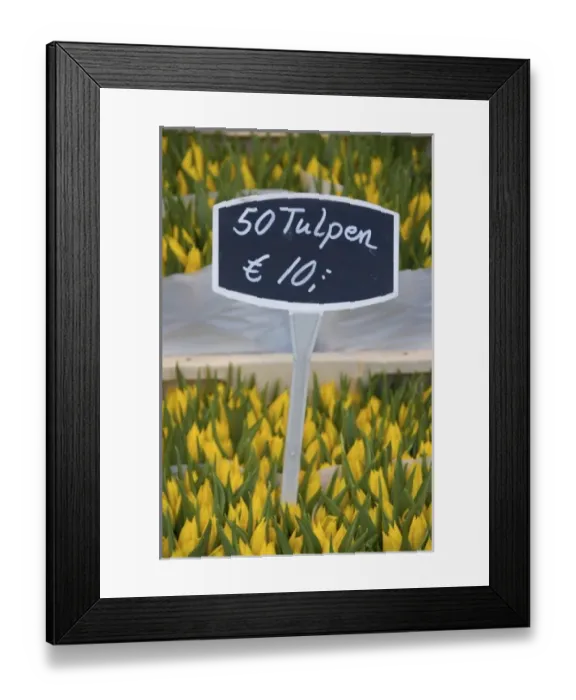 Framed Print : Europe, Netherlands, Holland Framed Print : Europe, Netherlands, Holland