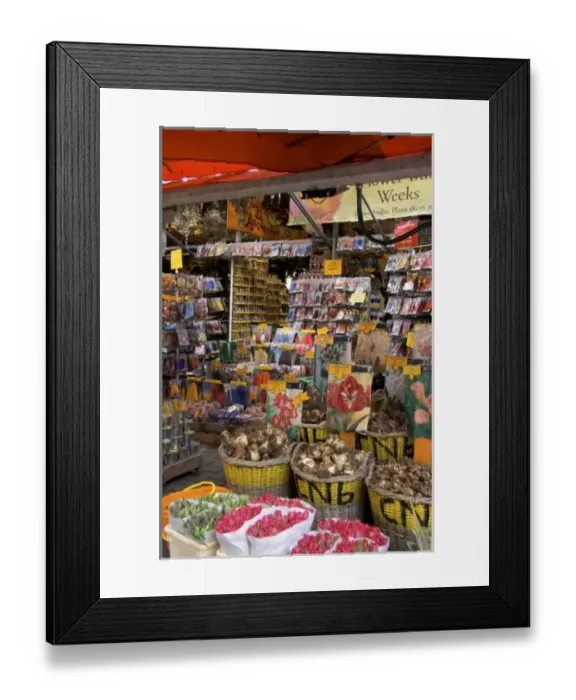 Framed Print : Netherlands, South Holland, Amsterdam, Floating Flower Market Framed Print : Netherlands, South Holland, Amsterdam, Floating Flower Market