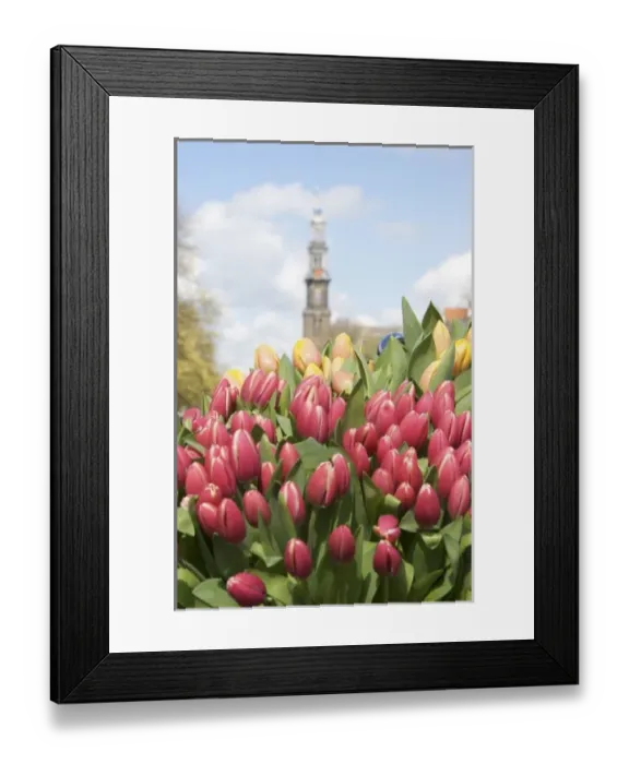 Framed Print : Netherlands, South Holland, Amsterdam Framed Print : Netherlands, South Holland, Amsterdam