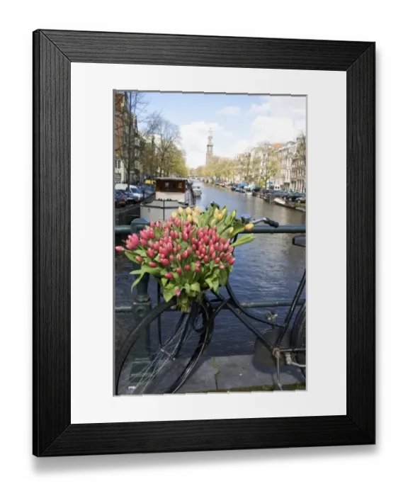 Framed Print : Europe, Netherlands, Holland