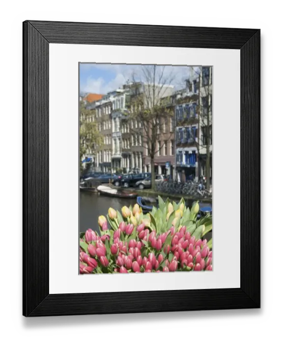 Framed Print : Europe, Netherlands, Holland