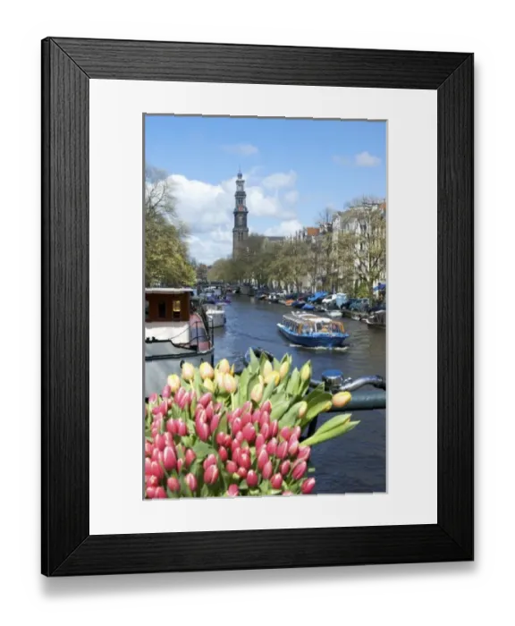 Framed Print : Europe, Netherlands, Holland
