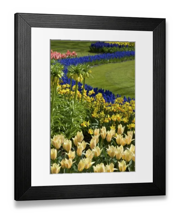Framed Print : Europe, Netherlands, Holland
