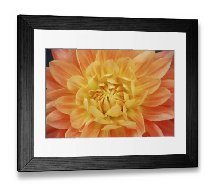 Framed Print : Europe, Netherlands, Holland Framed Print : Europe, Netherlands, Holland