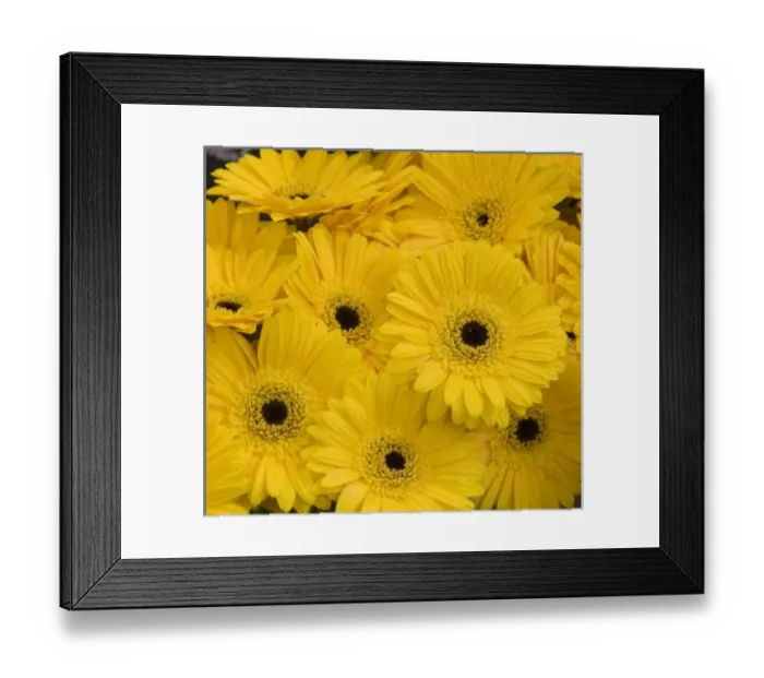 Framed Print : Europe, Netherlands, Holland Framed Print : Europe, Netherlands, Holland