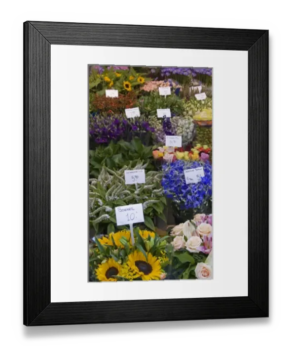 Framed Print : A colorful variety of flowers at the Bloemenmarket