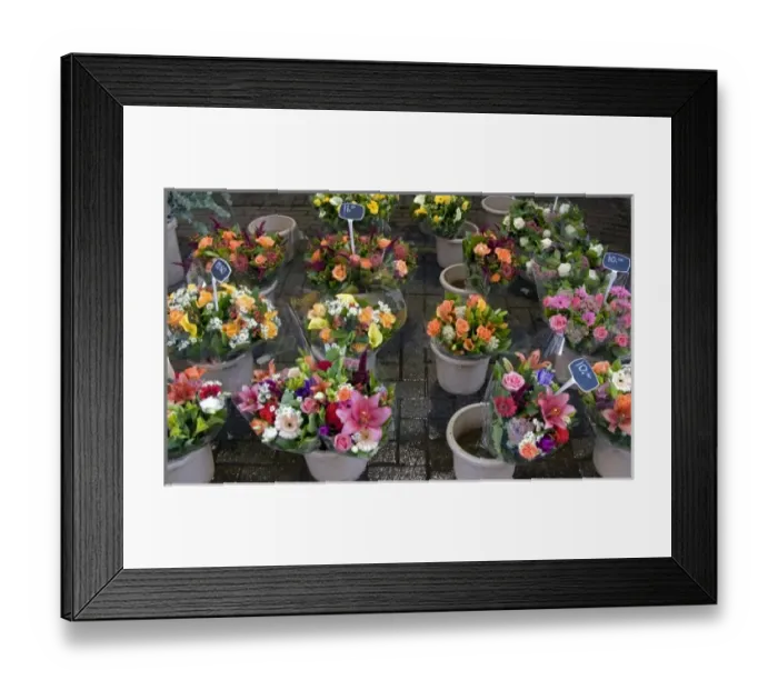 Framed Print : A colorful variety of cut flowers at the Bloemenmarket Framed Print : A colorful variety of cut flowers at the Bloemenmarket