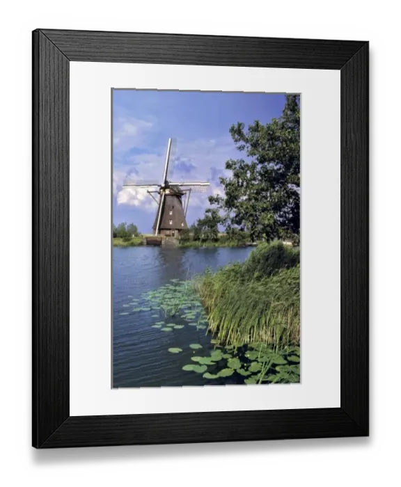Framed Print : Europe, Netherlands, Kinerdijk. A wind sends ripples over the lily pad-strewn canal Framed Print : Europe, Netherlands, Kinerdijk. A wind sends ripples over the lily pad-strewn canal