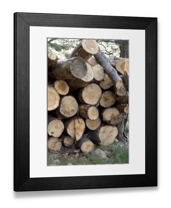 Framed Print : Europe, Norway Framed Print : Europe, Norway