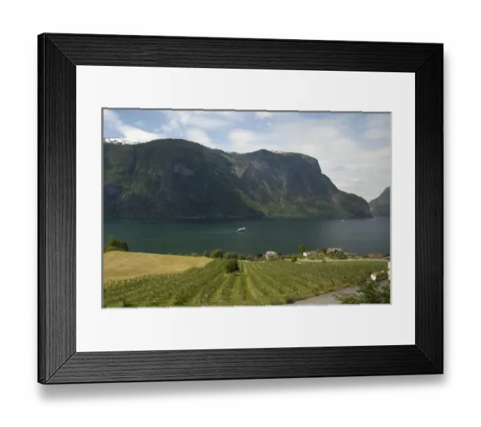 Framed Print : Norway, Aurland near Flam. View of Aurland Fjord an arm of Sogne Fjord, the longest Framed Print : Norway, Aurland near Flam. View of Aurland Fjord an arm of Sogne Fjord, the longest