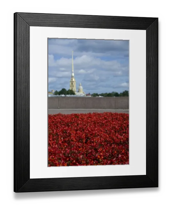 Framed Print : Russia, St. Petersburg, Hare Island, Peter and Paul Fortress, Bell Tower. SS Peter Framed Print : Russia, St. Petersburg, Hare Island, Peter and Paul Fortress, Bell Tower. SS Peter