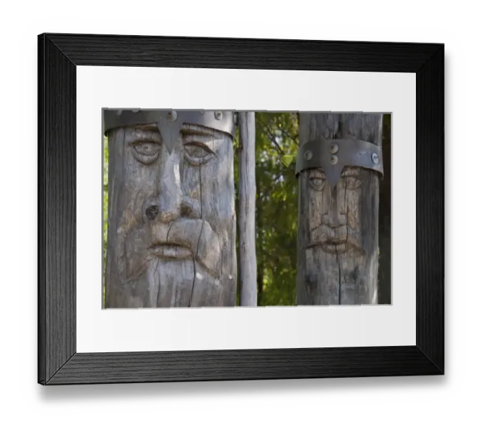 Framed Print : Russia, Murmansk, Lesnaya. Popular natural forest along the Tuloma River used for camping