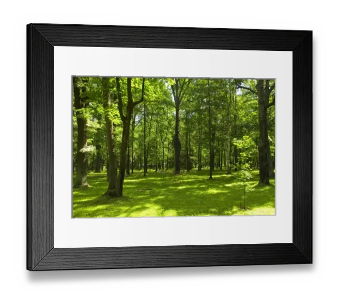 Framed Print : Europe, Russia Framed Print : Europe, Russia