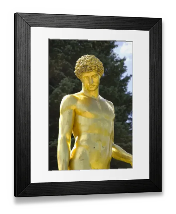 Framed Print : Europe, Russia