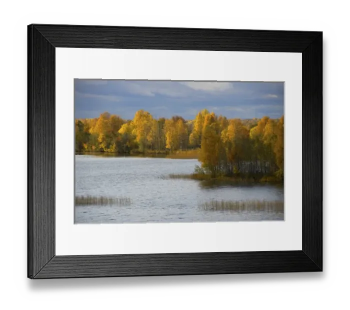 Framed Print : Russia, Karelia, Lake Onega shoreline, RESTRICTED: Not available for use by any River Framed Print : Russia, Karelia, Lake Onega shoreline, RESTRICTED: Not available for use by any River