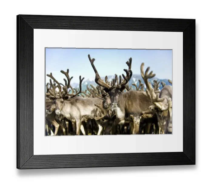 Framed Print : Europe, Russia Framed Print : Europe, Russia