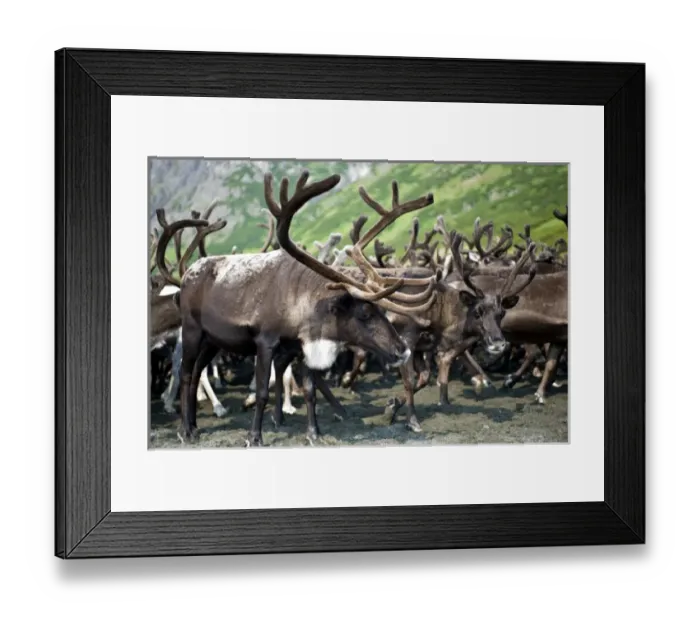 Framed Print : Europe, Russia