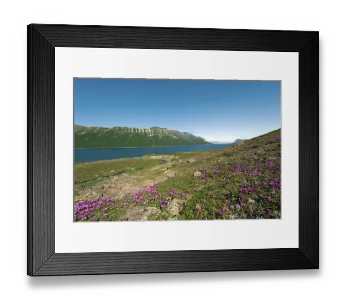 Framed Print : Russia, Kamchatka Peninsula, Russian Far East, Sea of Okhotsk, Pavla Bay, summer Framed Print : Russia, Kamchatka Peninsula, Russian Far East, Sea of Okhotsk, Pavla Bay, summer