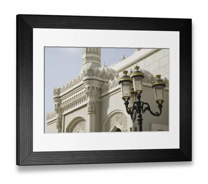 Framed Print : Asia, United Arab Emirates