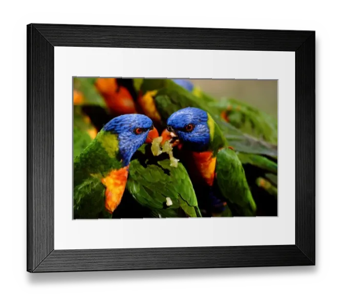 Framed Print : Unknown. Australia, Queensland, Rockhampton Framed Print : Unknown. Australia, Queensland, Rockhampton