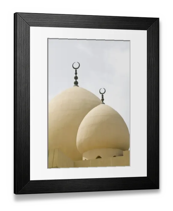 Framed Print : Asia, United Arab Emirates