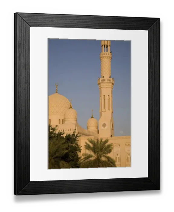 Framed Print : Asia, United Arab Emirates