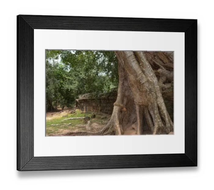 Framed Print : Asia, Cambodia Framed Print : Asia, Cambodia