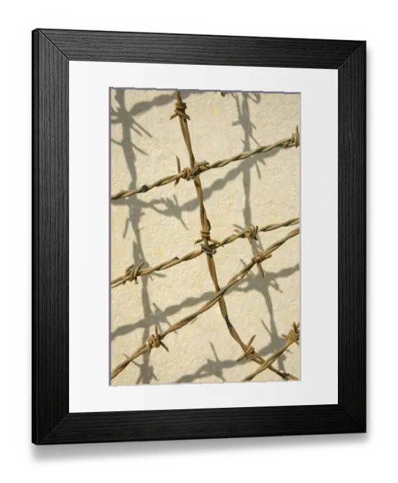 Framed Print : Asia, Cambodia Framed Print : Asia, Cambodia