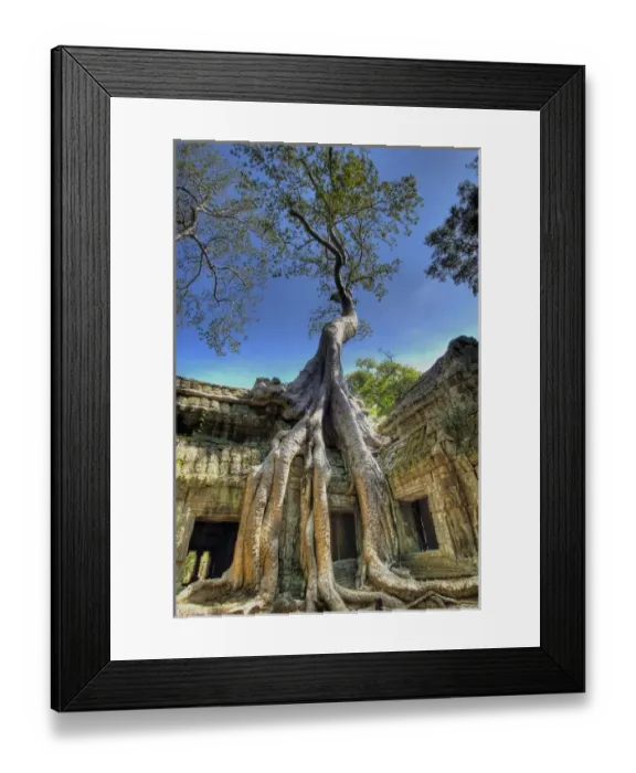 Framed Print : Cambodia, Angkor Wat. Tree grows over ruins of Beng Melea Temple Framed Print : Cambodia, Angkor Wat. Tree grows over ruins of Beng Melea Temple