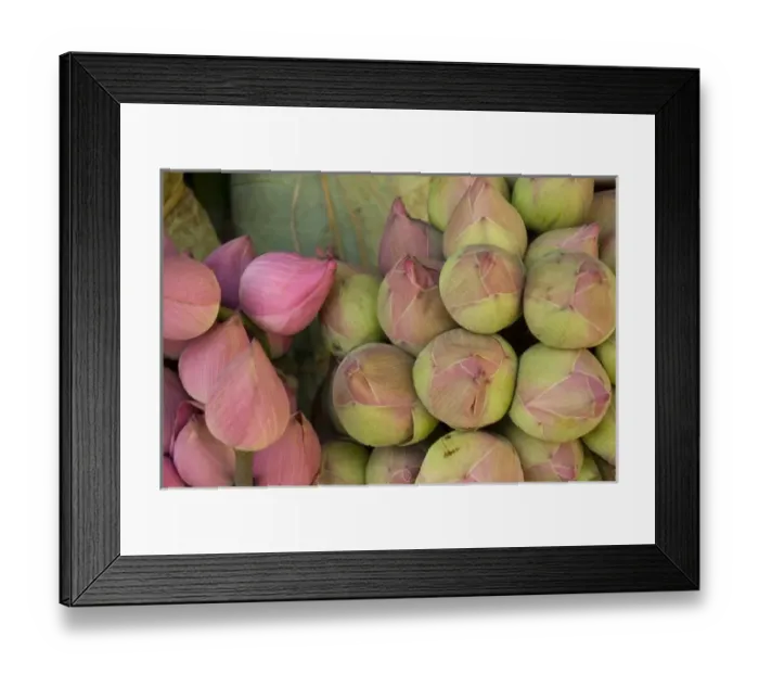 Framed Print : Asia, Cambodia Framed Print : Asia, Cambodia