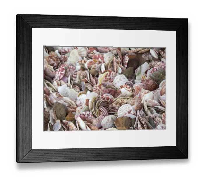 Framed Print : Mui Ne, Vietnam. Mui Ne, a small fishing village famous for its fish sauce is Framed Print : Mui Ne, Vietnam. Mui Ne, a small fishing village famous for its fish sauce is