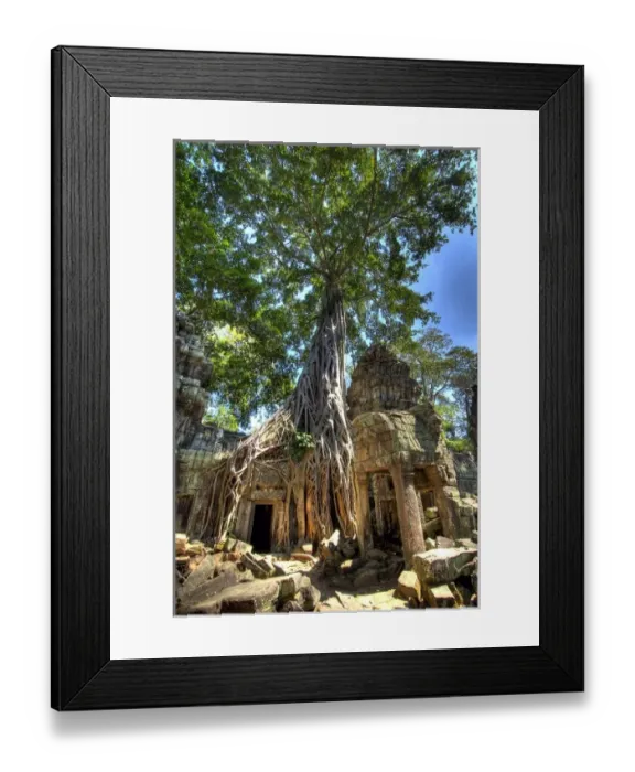 Framed Print : Cambodia, Angkor Wat. Tree grows over ruins of Beng Melea Temple Framed Print : Cambodia, Angkor Wat. Tree grows over ruins of Beng Melea Temple