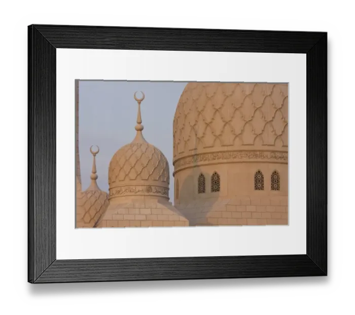Framed Print : Asia, United Arab Emirates
