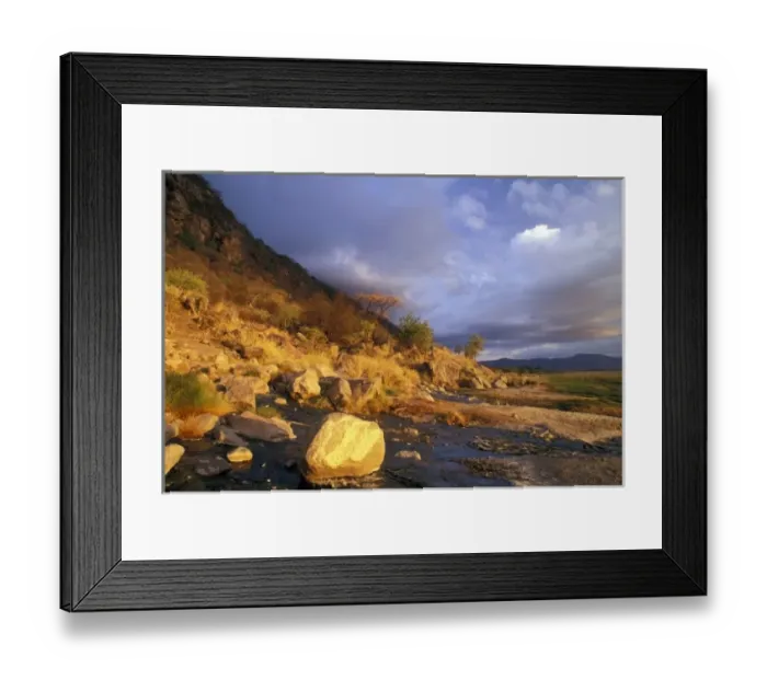 Framed Print : Africa, Tanzania, Lake Maniara National Park. Landscape