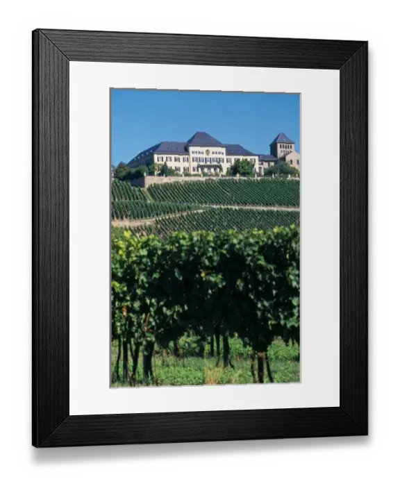 Framed Print : Germany, Johannisberg, Rheingau region, Schloss Johannisberg vineyard exclusively produces Riesling