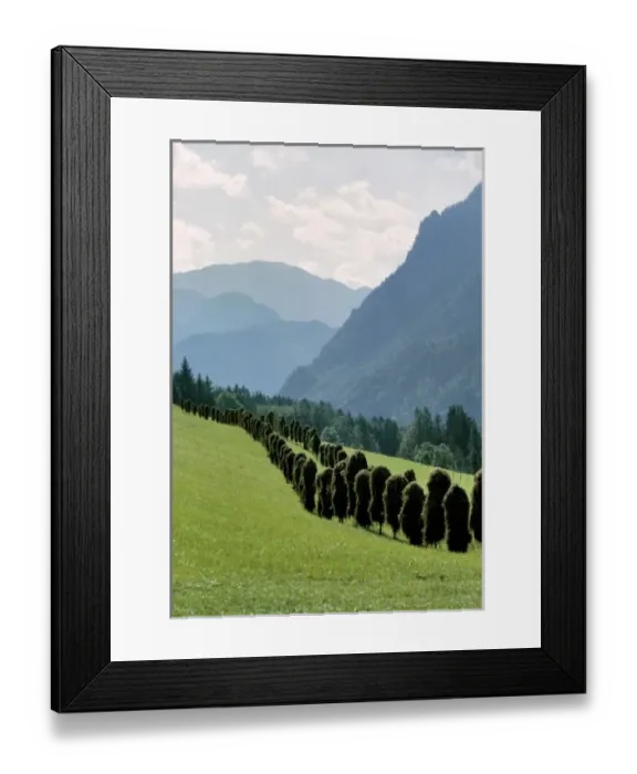 Framed Print : Germany, Bavaria, Ramsau. Harvested hay fills the hillside near Ramsau in Bavaria, Germany Framed Print : Germany, Bavaria, Ramsau. Harvested hay fills the hillside near Ramsau in Bavaria, Germany