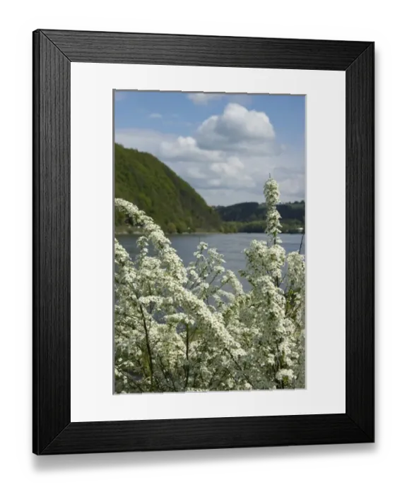 Framed Print : Europe, Germany Framed Print : Europe, Germany