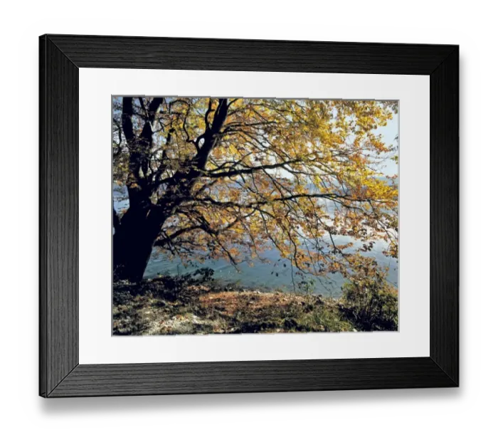 Framed Print : Europe, Germany
