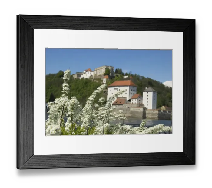 Framed Print : Europe, Germany, Bavaria, Passau, Oberhaus Fortress and flowering trees along Danube Framed Print : Europe, Germany, Bavaria, Passau, Oberhaus Fortress and flowering trees along Danube