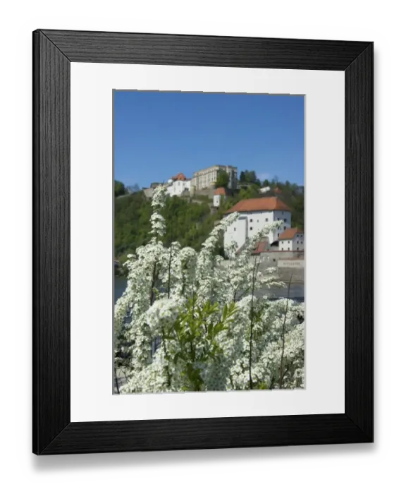 Framed Print : Europe, Germany, Bavaria, Passau, Oberhaus Fortress and flowering trees along Danube Framed Print : Europe, Germany, Bavaria, Passau, Oberhaus Fortress and flowering trees along Danube