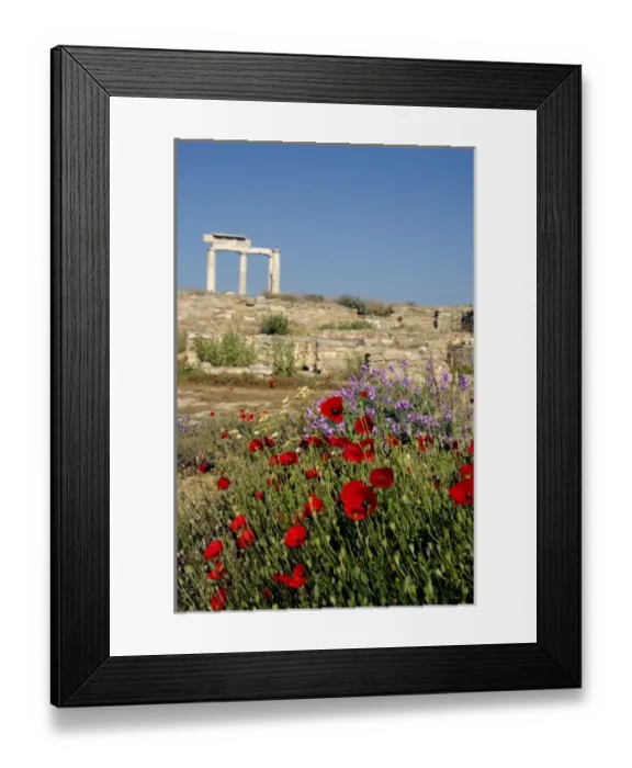 Framed Print : Europe, Greece, Cyclades, Delos. Column ruins