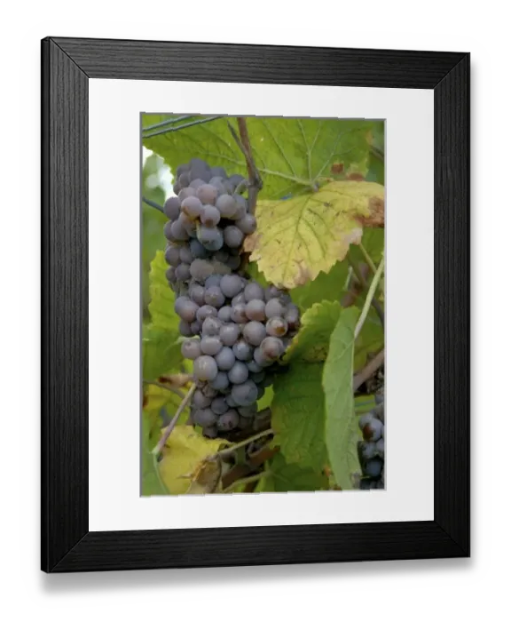 Framed Print : Europe, Germany Framed Print : Europe, Germany