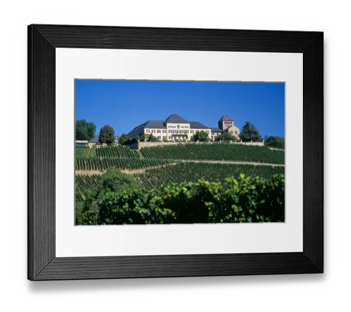Framed Print : Germany, Johannisberg, Rheingau region, Schloss Johannisberg vineyard exclusively produces Riesling Framed Print : Germany, Johannisberg, Rheingau region, Schloss Johannisberg vineyard exclusively produces Riesling