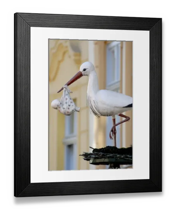 Framed Print : Europe, Germany Framed Print : Europe, Germany