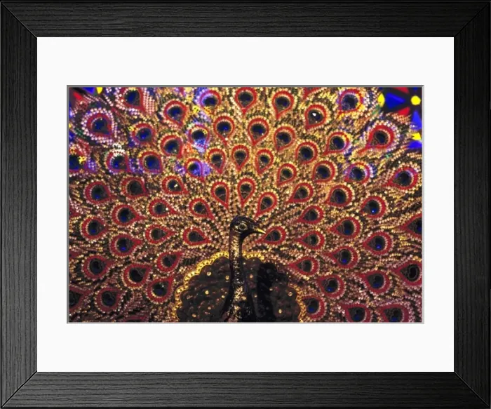 Framed Print : Germany, Bavaria, Linderhof Castle. The wildly-colored peacock throne at Linderhof Framed Print : Germany, Bavaria, Linderhof Castle. The wildly-colored peacock throne at Linderhof