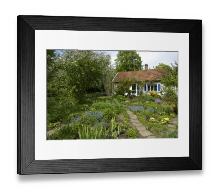 Framed Print : Europe, Germany Framed Print : Europe, Germany