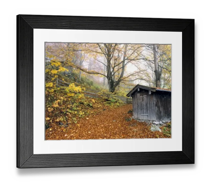 Framed Print : Germany, Bavaria, Ramsau. A wooden shed marks the trail in the forest near Ramsau in Bavaria Framed Print : Germany, Bavaria, Ramsau. A wooden shed marks the trail in the forest near Ramsau in Bavaria